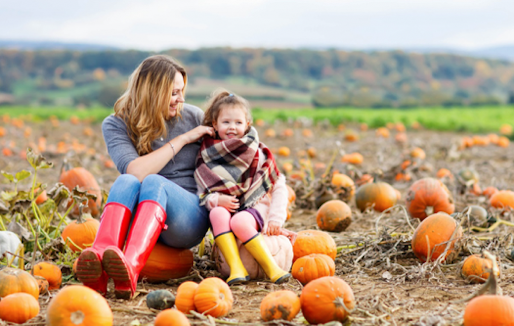 Best fall festivals in and around Fairfax VA