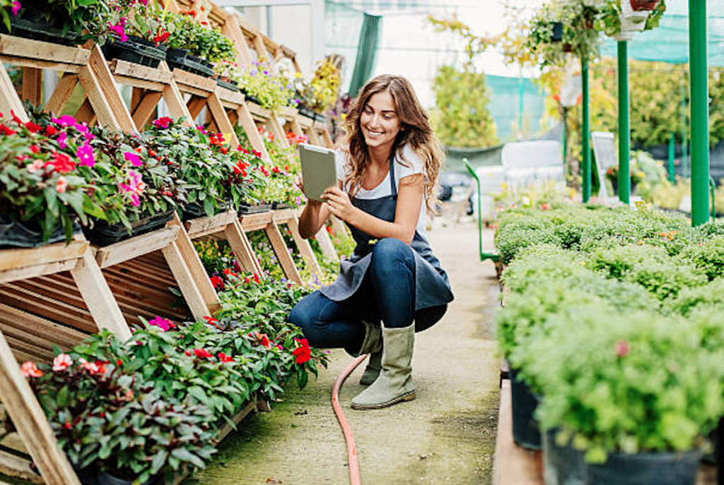 How to Start Your Own Gardening Business | Ziddu