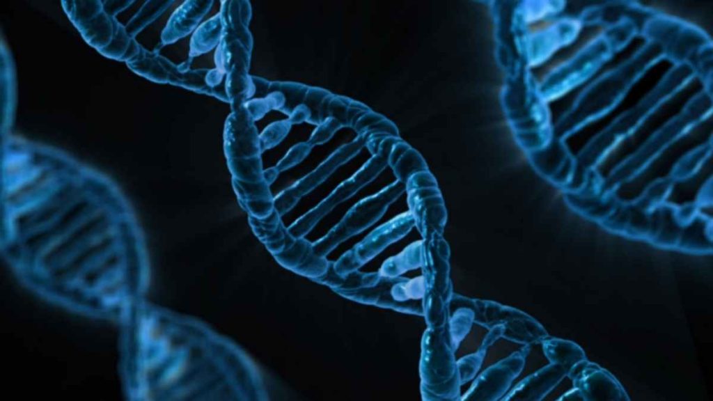 The Most Important Things You Need to Know About DNA Vaccines