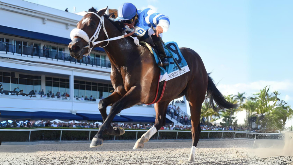 TwinSpires A Premier Online Horse Racing Platform