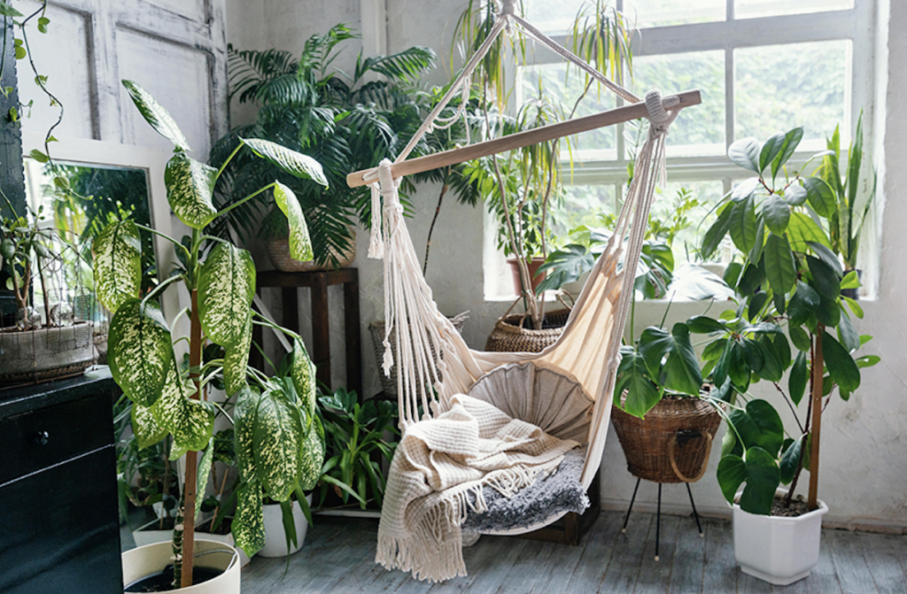 Best Plants to Cool Your Condo During Summer