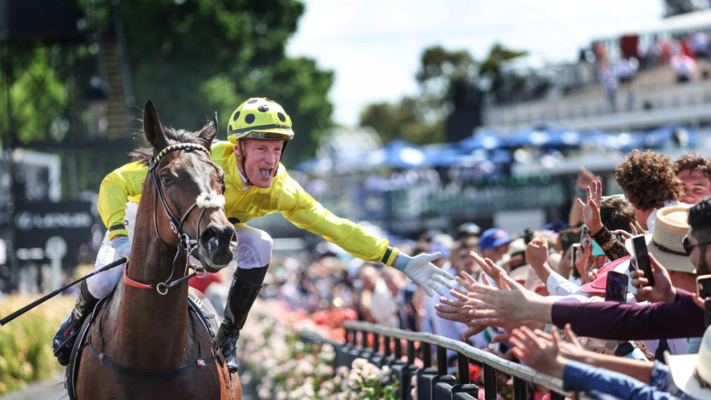 The Ultimate Melbourne Cup Betting Handbook for Racing Fans