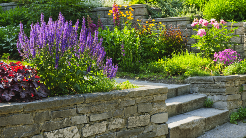 A Homeowner’s Guide to Choosing Landscaping Plants