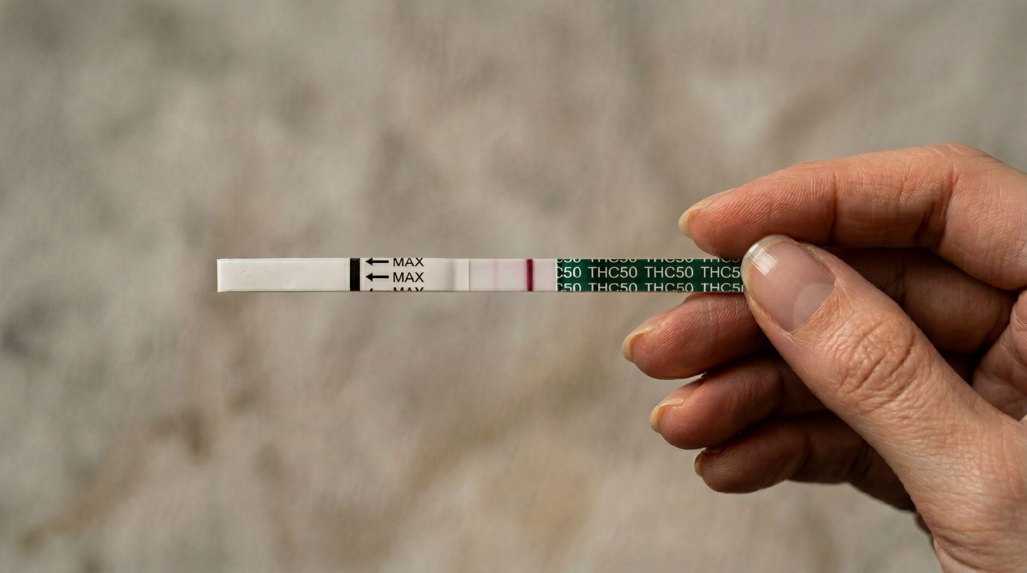 a closeup of a hand holding an Exploro THC test strip with a faint line result