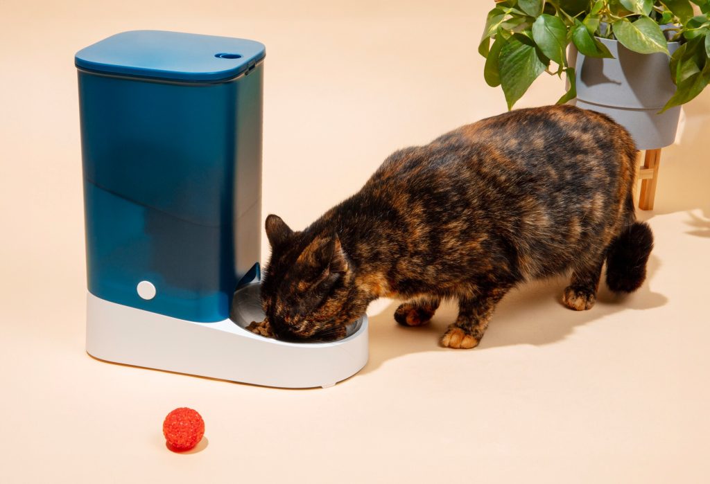 Image 3 of Is Smart Pet Tech Worth It? Devices and Diagnostics for Modern Pet Parents