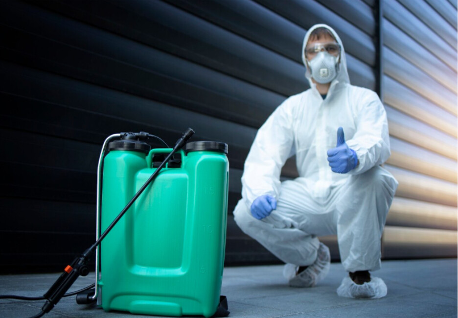Why Is Pest Control Important For Homes? Image 1 of Why Is Pest Control Important For Homes?